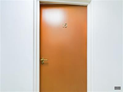Picture 7